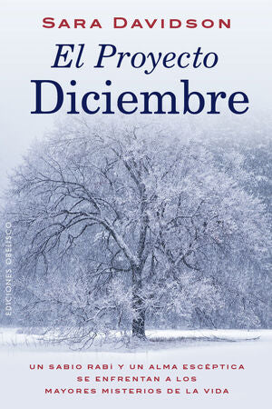 * EL PROYECTO DICIEMBRE