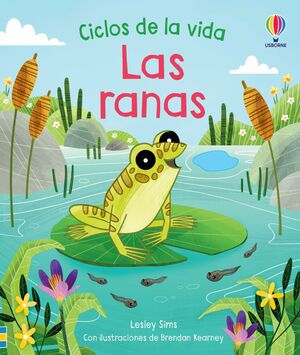 CICLOS DE LA VIDA: LAS RANAS