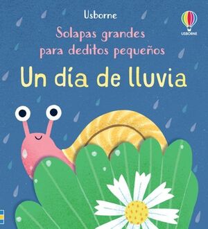 UN DIA DE LLUVIA (SOLAPAS GRANDES PARA DEDITOS PEQUEÑOS)