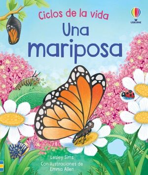 CICLOS DE LA VIDA: UNA MARIPOSA