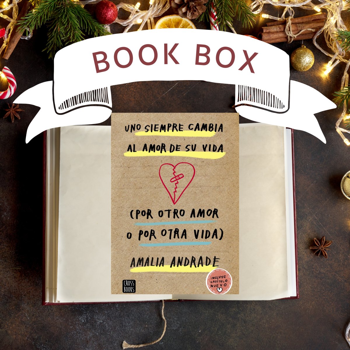 Christmas box Uno siempre cambia el amor de su vida por otro amor o por otra vida - Amalia Andrade - Sarasvati Librería