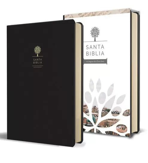 SANTA BIBLIA RVR 1960 - LETRA GRANDE, IMITACIÓN PIEL NEGRA CON IMÁGENES DE TIERRA SANTA - Sarasvati Librería